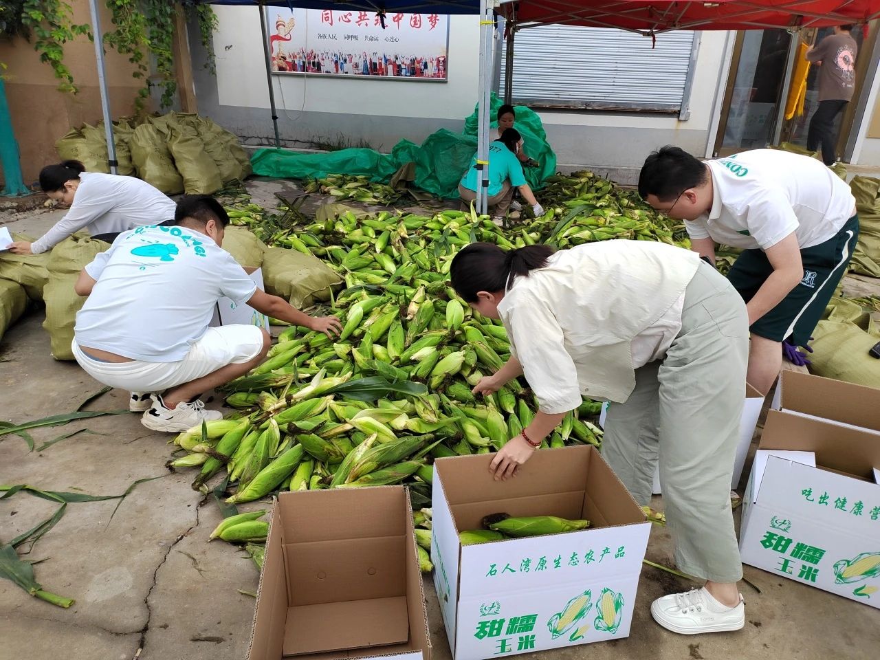 &#121;&#104;&#56;&#54;&#38134;&#27827;